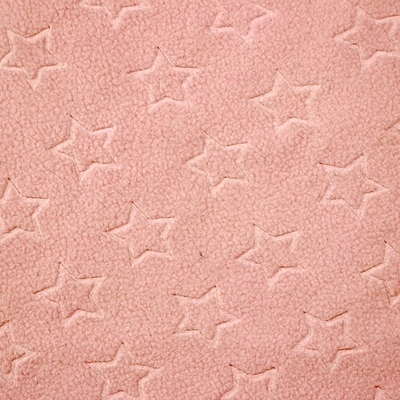polares Mikrogewebe des Vlies-210gsm